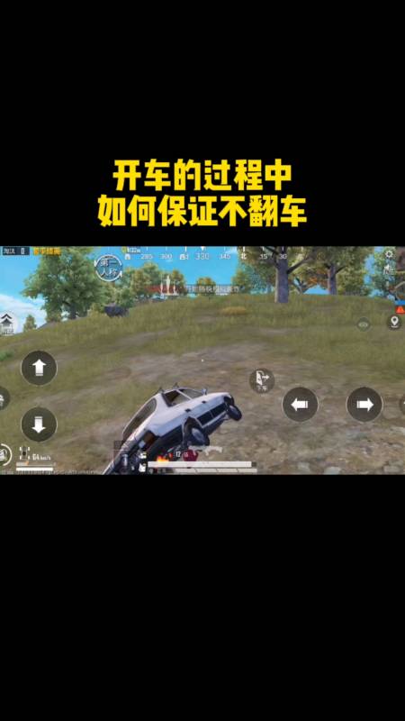 和平精英正规卖挂平台【小笼包一体直装】午后